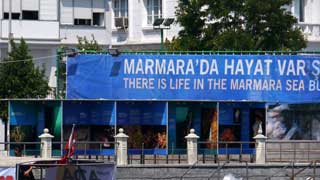 Marmara'da Hayat Var, Şimdilik Sergisi - Adalar Müzesi -2012